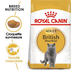 Royal Canin British Shorthair Adult 2 Kg