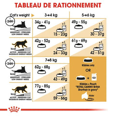 Royal Canin British Shorthair Adult 2 Kg