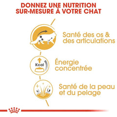 Royal Canin Maine Coon Adult 2 Kg