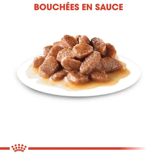 Royal Canin Digest Sensitive en sauce 85 G