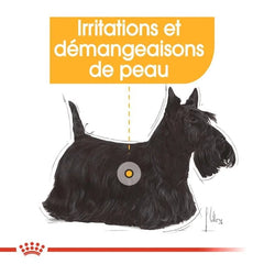 Royal Canin Aliment Sec Chien Mini Dermacomfort 3 Kg