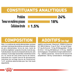 Royal Canin Maltese Bichon Adult 1.5 Kg