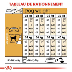 Royal Canin Labrador Retriever Adult 12 Kg