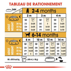 Royal Canin Labrador Retriever Puppy 12 Kg
