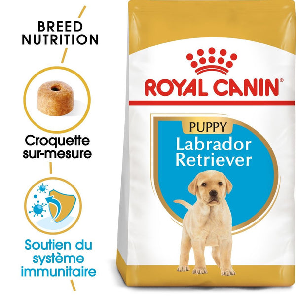 Labrador junior fashion royal canin