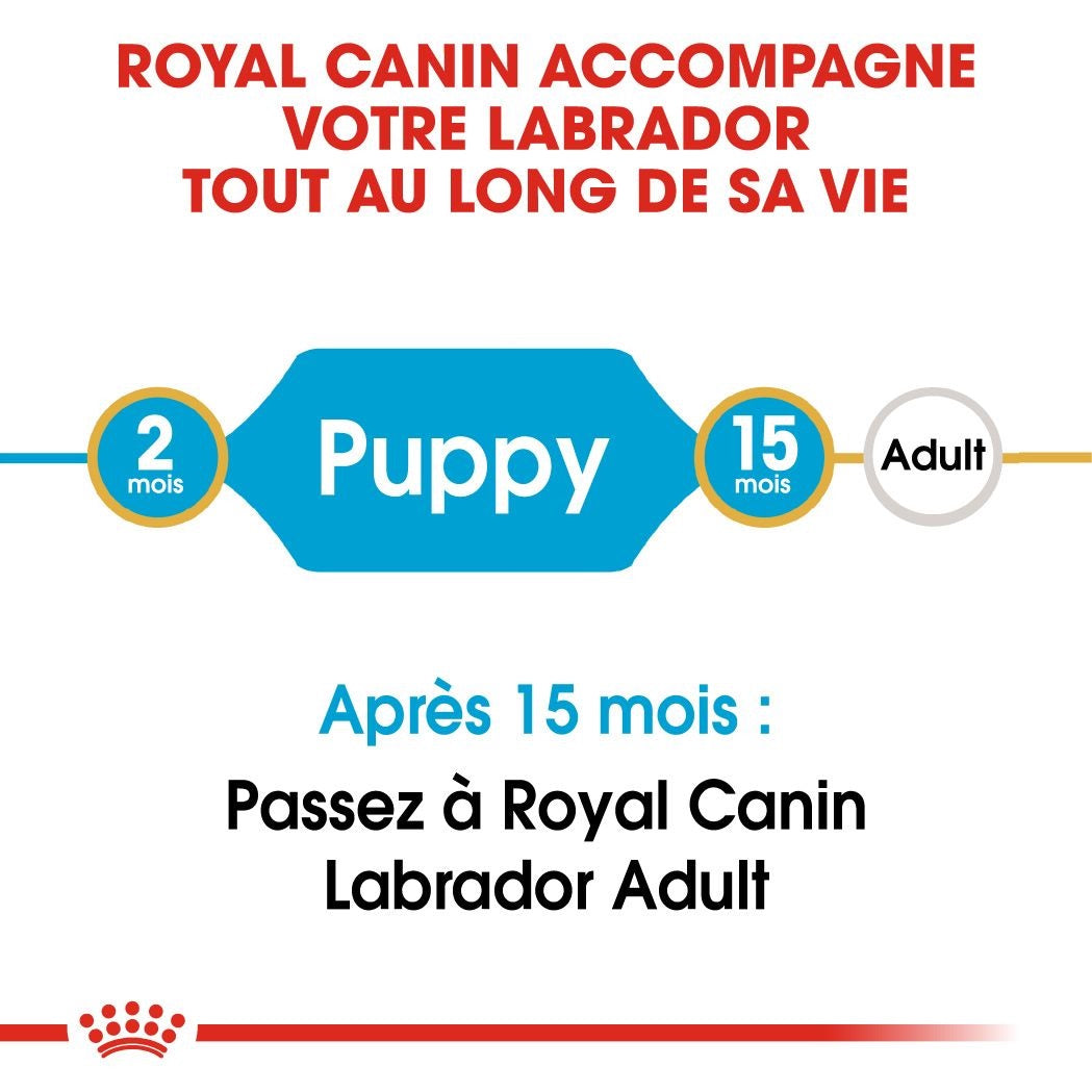 Royal Canin Chiot Labrador Retriever 12 Kg
