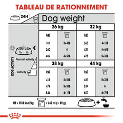 Royal Canin Aliment Sec Chien Maxi Joint Care 10 Kg