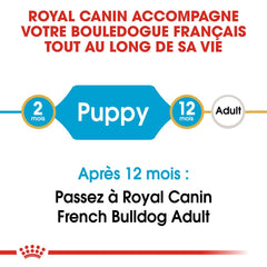 Royal Canin French Bulldog Puppy 3 Kg