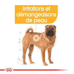 Royal Canin Aliment Sec Chien Medium Dermacomfort 12 Kg