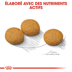 Royal Canin Aliment Sec Chien Medium Dermacomfort 12 Kg