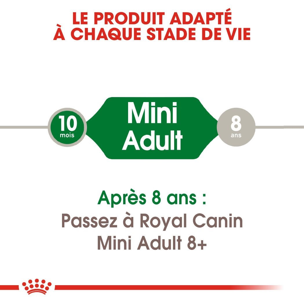 Royal Canin Mini Adult