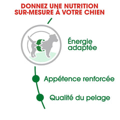 Royal Canin Mini Adult