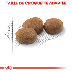 Royal Canin Aliment Sec pour Chat Sterilised