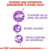 Royal Canin Aliment Sec pour Chat Sterilised