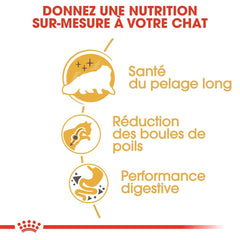 Royal Canin Aliment Sec pour Chat Persan Adulte