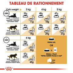 Royal Canin Aliment Sec pour Chat Persan Adulte
