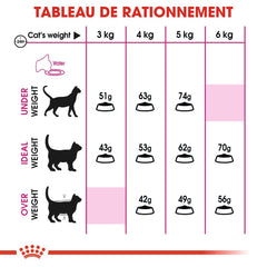 Royal Canin Aliment Sec pour Chat Savour Exigent