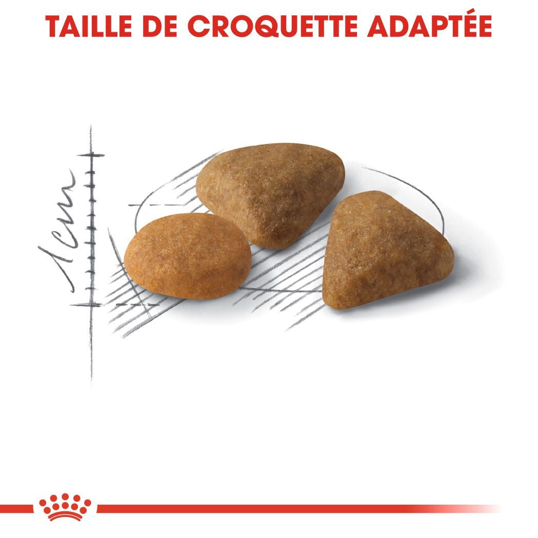 Royal Canin Savor Exigient
