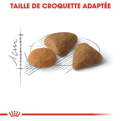 Royal Canin Aliment Sec pour Chat Savour Exigent