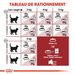 Royal Canin Aliment Sec pour Chat Fit 32