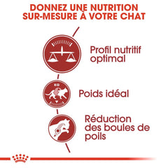 Royal Canin Aliment Sec pour Chat Fit 32