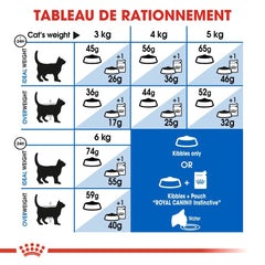 Royal Canin Aliment Sec pour Chat Indoor 27