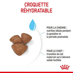 Royal Canin Mini Starter Mother & Babydog