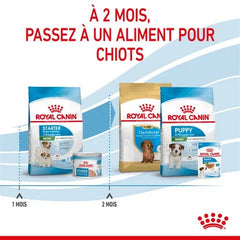 Royal Canin Mini Starter Mother & Babydog
