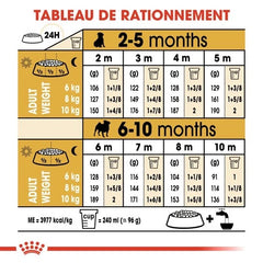 Royal Canin Aliment Sec Chien Chiot Carlin 1,5 Kg