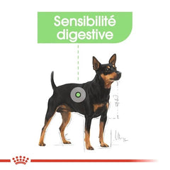 Royal Canin Aliment Sec Chien Mini Digestive Care 3 Kg