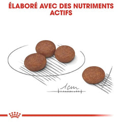 Royal Canin Aliment Sec Chien Mini Digestive Care 3 Kg