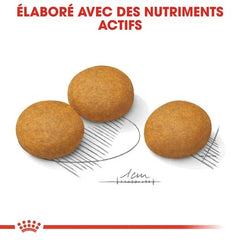 Royal Canin Maxi Dermacomfort 12 Kg