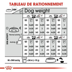 Royal Canin Maxi Dermacomfort 12 Kg