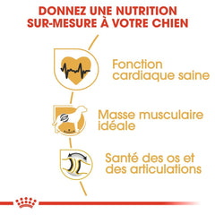 Royal Canin Rottweiler Adult 12 Kg