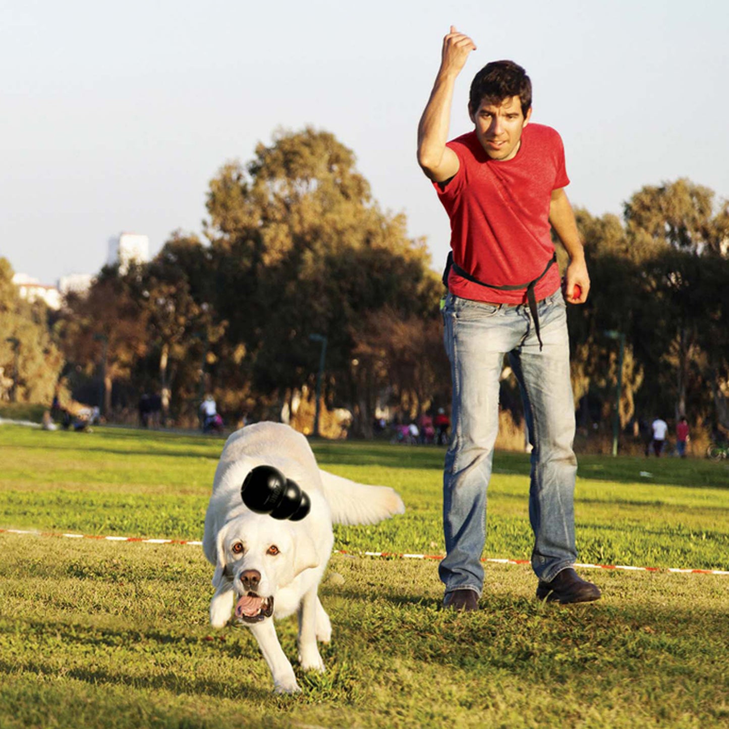 Jouet pour Chien KONG EXTREME ULTRA SOLIDE