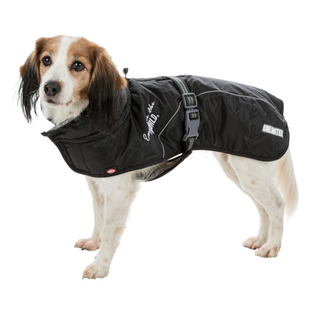 Explore winter coat