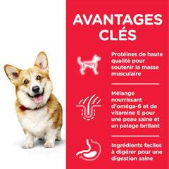 HILL'S SCIENCE PLAN Aliment Sec Chien Small & Mini Adulte