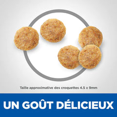 HILL'S SCIENCE PLAN Aliment Sec pour Chat Adulte Poulet