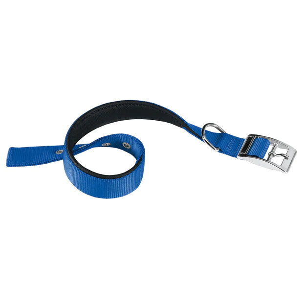 Collier Chiens Daytona Ferplast Bleu