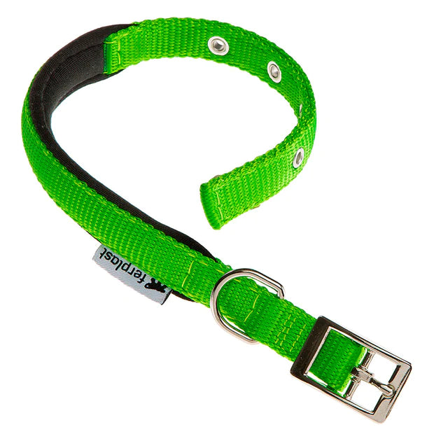 Collier Chiens Daytona Ferplast Vert Acide