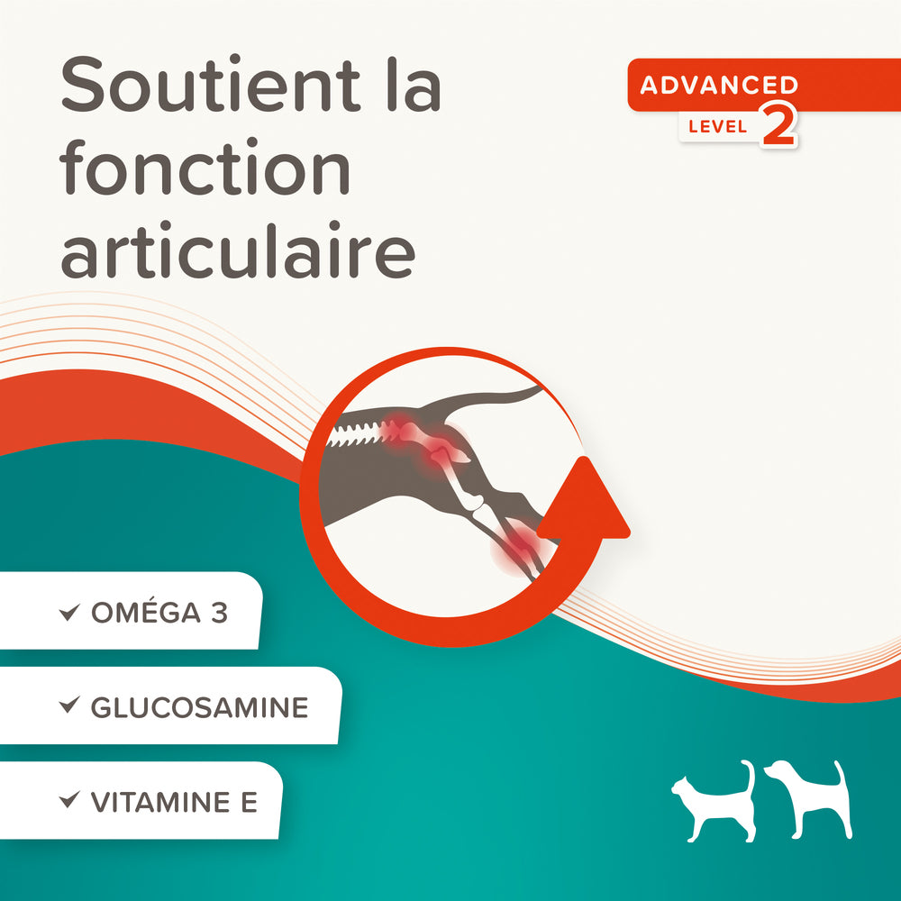 Flexifit®, Pâte articulations Supplément pour chien et chat - 250g