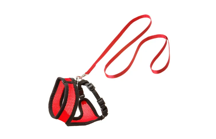 Flamingo Harnais chat avec laisse Harms Rouge & Noir
