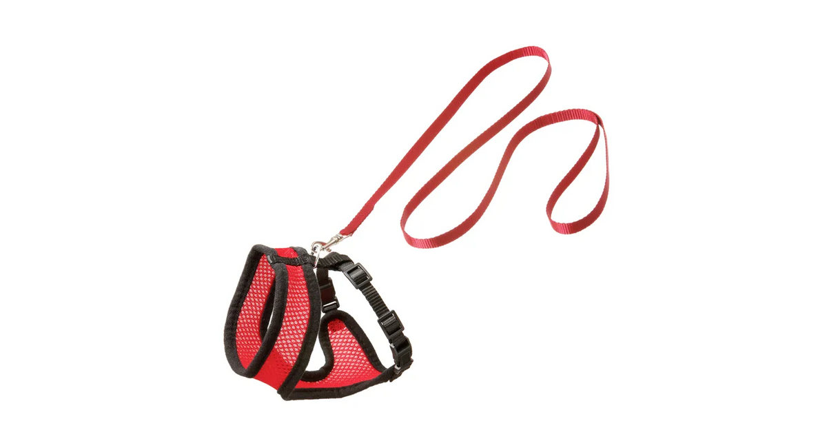 HARNESS WITH LEASH HARMS RED &amp;amp; BLACK