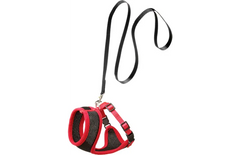 HARNAIS AVEC LAISSE CHATON HARMS NOIR & ROUGE