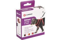 HARNAIS AVEC LAISSE CHATON HARMS NOIR & ROUGE