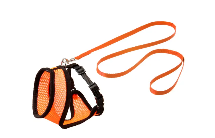 Flamingo Harnais avec laisse Chaton Harms Orange & Noir