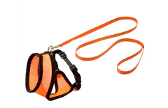 Flamingo Harnais avec laisse Chaton Harms Orange & Noir
