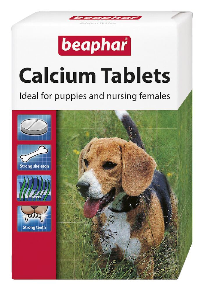 Beaphar Supplément pour Chien Comprimés de calcium 180 Tabs