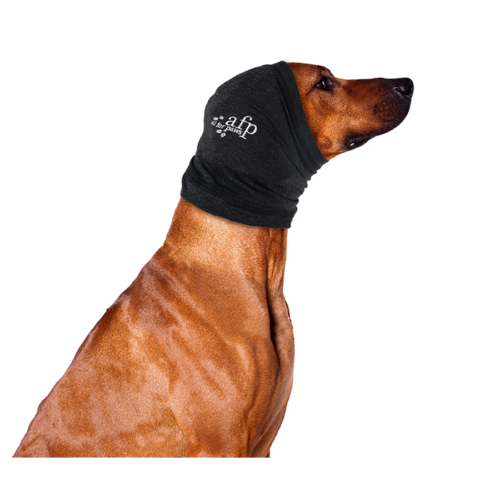Soft Snoods/ Sweat à capuche pour chien