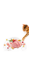 Brit Care Cat Aliment Sec pour Chat Grain-Free Adult Activity Support 2 kg
